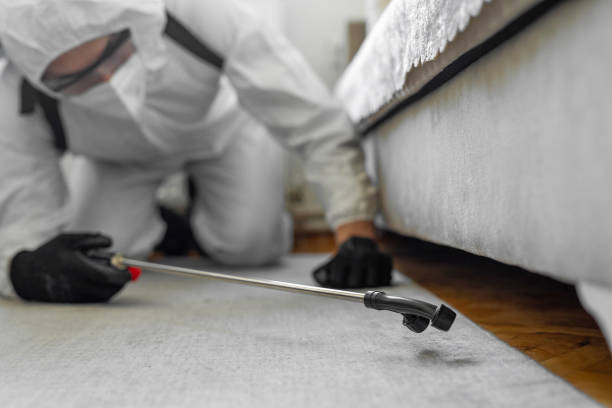 Professional Bed Bug Control technician working in Barker Heights, NC