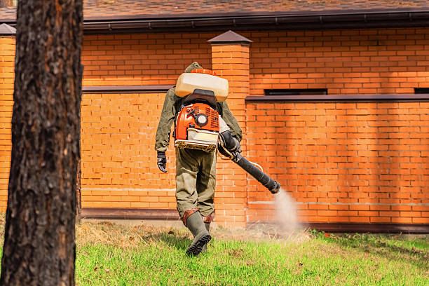 Trusted Termite Control service in Barker Heights, NC - Nex Pest Control